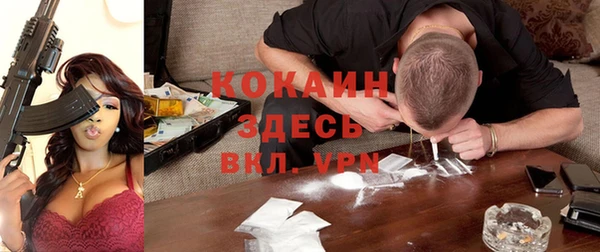 соль ск Липки