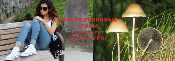 кокс Лабытнанги