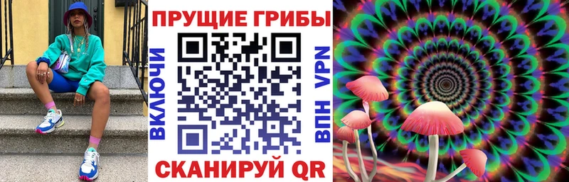 Купить закладки  Нариманов  Псилоцибиновые грибы MAGIC MUSHROOMS 